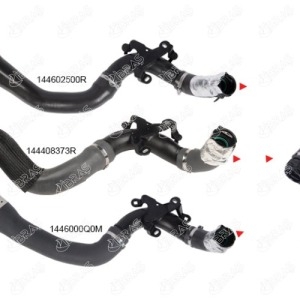 TUYAU DE TURBO 144602500R